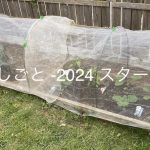 庭しごと -2024 スタート-